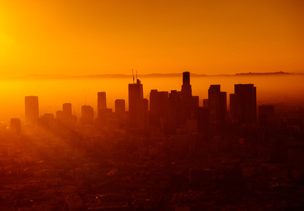 Day Orange