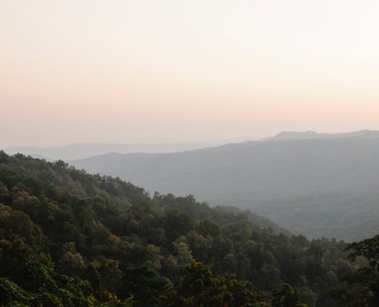 connection to the divine