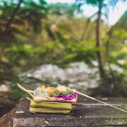 focused photography of flowers