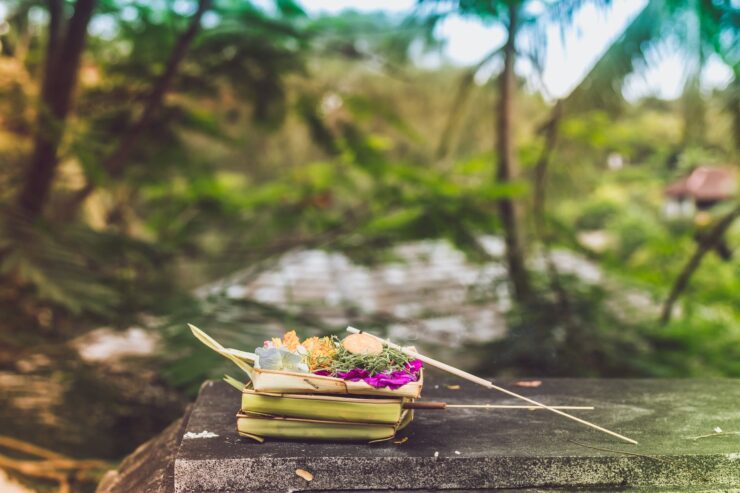 focused photography of flowers