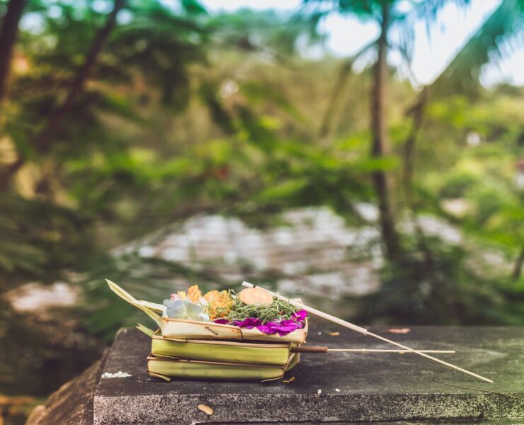 focused photography of flowers