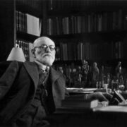 Sigmund Freud's Narcissism Of Small Differences