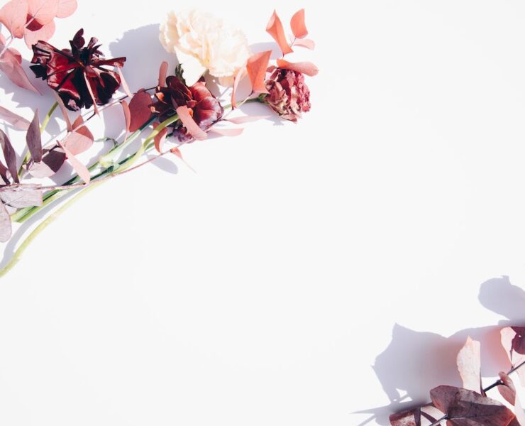 Universe Is Listening