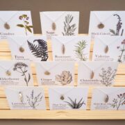 0fc1aff0-94b0-4dbf-99e5-66d6b835cb8f