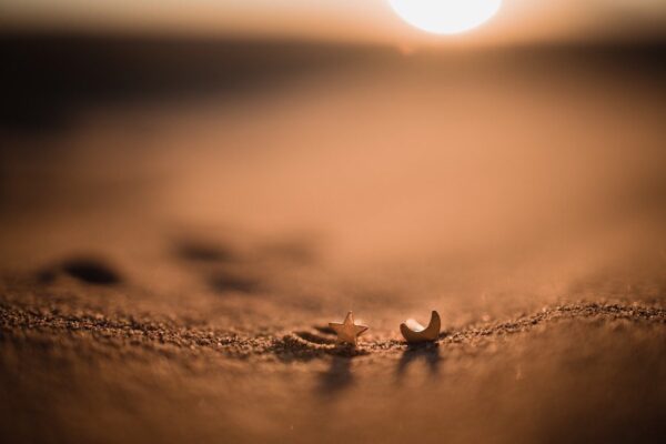 Moon and Star Stud Earrings