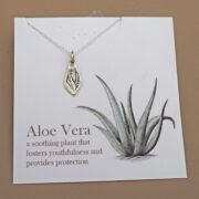Aloe1