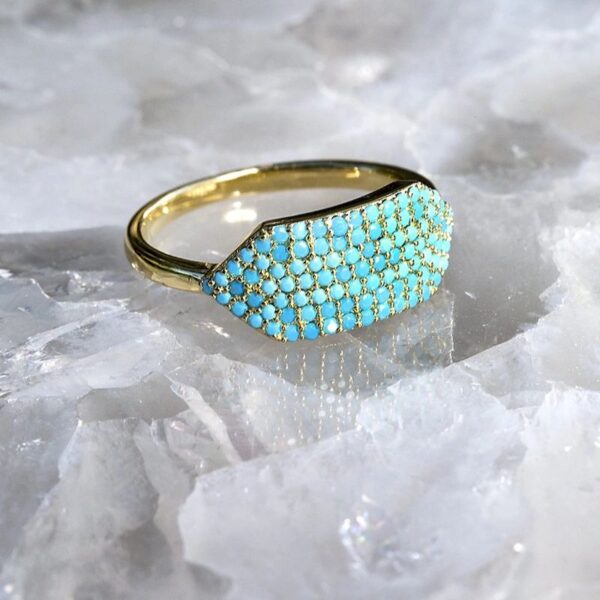 Id Ring - Native Gem Turquoise Ring