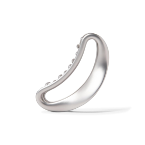 Claw Clip