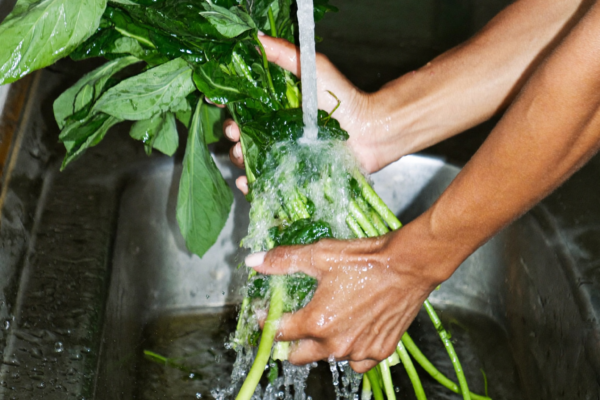 Washing Salad