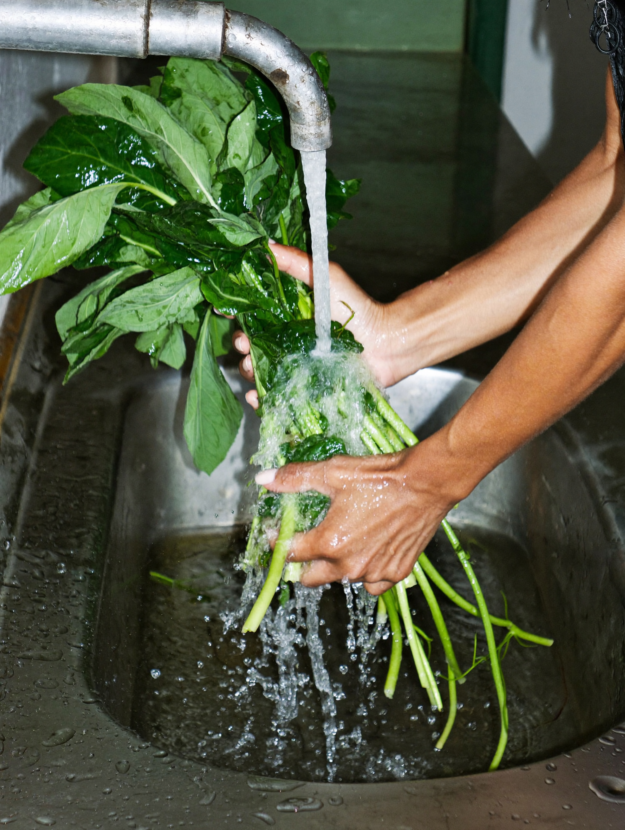 Washing Salad